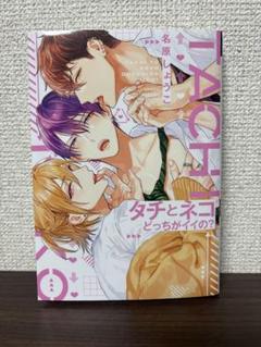 タチとネコどっちがイイの？