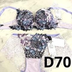 ワコール✴︎サルート✴︎店舗限定✴︎キャミM＆ブラF70 ＆ソングM ✴︎69G ワコール/サルート 09 店舗限定✨新品タグ付 P-upブラソングM