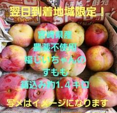 ❌翌日到着地域限定！宮崎県産 無農薬 福じいちゃんのスモモ 箱