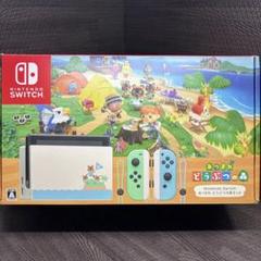 NintendoSwitchあつまれどうぶつの森セット 中古 マルチアダプター付