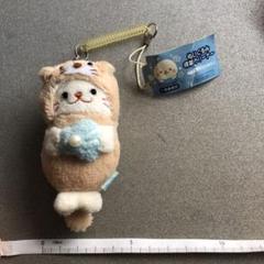m31325662199_1.jpg?1619155451