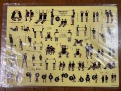 罫線に寄り添うジャルジャルシール ジャルジャル シール