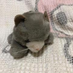 DAKIN ビンテージ レトロ シャム猫 ぬいぐるみ 親子 - メルカリ