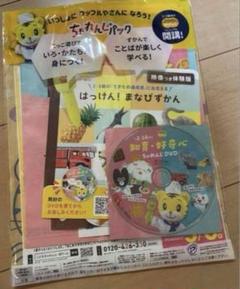 新品 しまじろう 知育 好奇心 チャレンジDVD