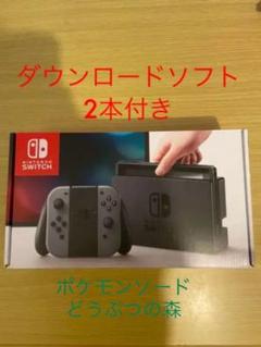 ニンテンドー スイッチ 本体 ダウンロードソフト2本付き