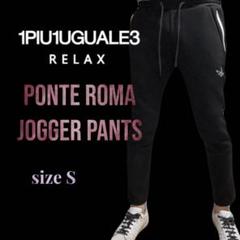 1PIU1UGUALE3 RELAX PONTE ROMA JOGGERS