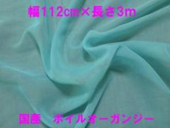 ポリ・ボイルオーガンジー(ミント・長さ3m）