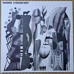 2025年最新】Brahman レコードの人気アイテム - メルカリ