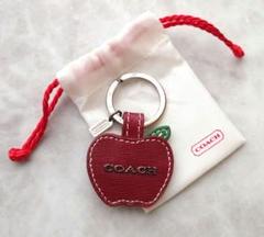 2025年最新】coach キーホルダー リンゴの人気アイテム - メルカリ