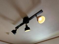 IKEA ラーナルプシーリングライト +トロードフリ電球+