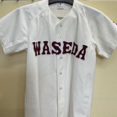 早稲田 野球 ユニフォーム