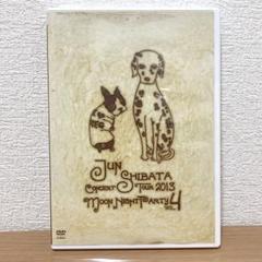 柴田淳 CONCERT TOUR 2013 月夜PARTY vol.4