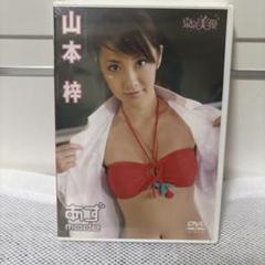 新品未開封　山本梓 あずさ DVD グラビア
