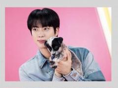 2025年最新】bTS ジン jin ソクジンの人気アイテム - メルカリ
