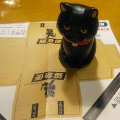 紙袋に入った猫 クロ