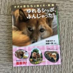 ゆれるシッポ、ふんじゃった! 子犬のきららと捨て犬・未来