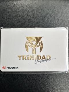 TRiNiDAD undisputed 限定ダーツライブカード 新品未使用 - メルカリ