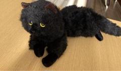 DOUSHIN  童心　黒猫　寝そべりポーズ　くたくた　ぬいぐるみ　中古品 DOUSHIN 童心 黒猫 寝そべりポーズ くたくた ぬいぐるみ 中古品