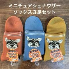 【新品】ミニチュアシュナウザー　あったかパイルソックス　リアルシュナ　３足セット
