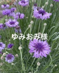 2022年最新】正絹振袖 長襦袢 半衿付きの人気アイテム - メルカリ 2022年最新】正絹振袖 長襦袢 半衿付きの人気アイテム - メルカリ