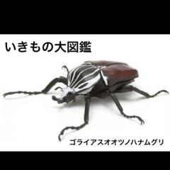 2025年最新】ゴライアス いきもの大図鑑の人気アイテム - メルカリ