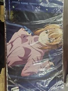 やはり俺の青春ラブコメはまちがっている。完 ラバーマット 一色いろは