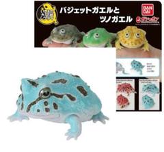 2025年最新】いきもの大図鑑ツノガエルの人気アイテム - メルカリ