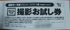 スタジオマリオ 撮影お試し券