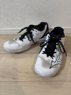 中古美品 Mizuno ミズノ Wave Lightning Z8 27.5cmのサムネイル