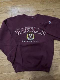 ハーバード大学トレーナー XL ブラウン