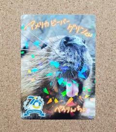レア】鳥羽水族館 ジュゴン セレナ キラキラ コレクションカード