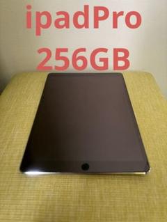ipadPro10.5インチ256GB