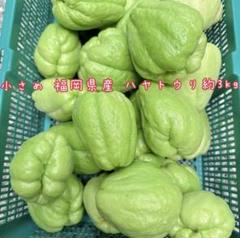 大量　無農薬　ハヤトウリ30個　8キロから10キロ bc7921a8408cb23f091ce836d87154
