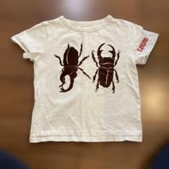 LOGOS カブトムシ クワガタ Tシャツ 140