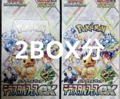 テラスタルフェスex 2box分 20パック