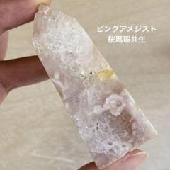 しーやん様 リクエスト 2点 まとめ商品 - メルカリ