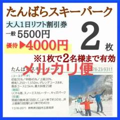 たんばらスキーパーク リフト1日券 2枚セット たんばらスキーパーク【子どもキッズ リフト無料引換券】2枚