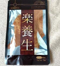 人気商品・限定商品ばかりの「超得 半額福袋」が販売開始 2025年最新】楽養生 30日分 90錠の人気アイテム - メルカリ その他