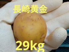 ナッツ 長崎黄金 25kg 2025年最新】ながさき黄金の人気アイテム - メルカリ