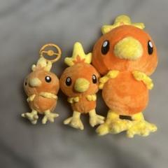 ポケモン アチャモ ぬいぐるみ 3体セット