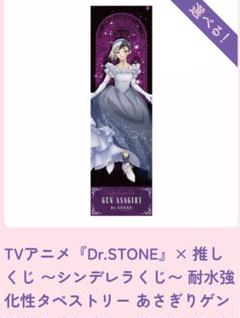 Dr.STONE 推しくじ シンデレラくじ B賞 耐水強化性タペストリー ゲン