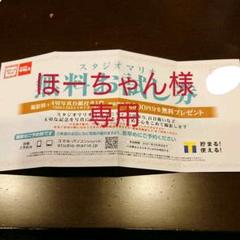 スタジオマリオ 無料 お試し券 非売品