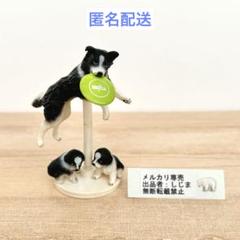 2025年最新】yujiN 犬の人気アイテム - メルカリ