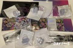 すとふぇす 特典 リングライト 銀テーホルダー STPR 全日