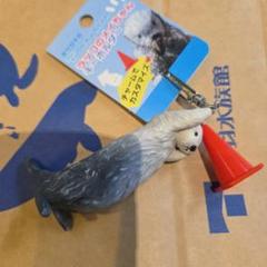 鳥羽水族館 トバスイ ラッコ メイちゃん キーホルダー 2個セット トバスイ 鳥羽水族館 ラッコ メイちゃん キーホルダー 2個セット