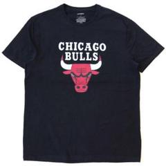 CHICAGO BULLS プリント半袖Tシャツ メンズL ビンテージ 古着