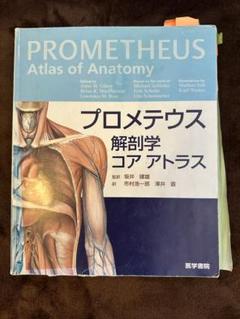 プロメテウス解剖学コアアトラス ダイアンコーチ プロメテウス解剖学コアアトラス 第3版 中古本・書籍 | ブック