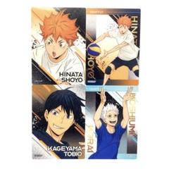 ハイキュー ユース・疑似ユース合宿フェア クリアカード 日向 影山 星海