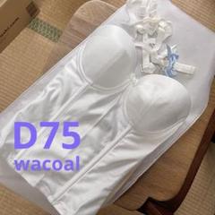 2025年最新】ウエディングインナー d75の人気アイテム - メルカリ
