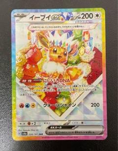 【本日購入でマグネットローダー付】テラスタルフェスex ブイズ SAR 美品 ブラッキーex SAR SV8a テラスタルフェスex 217/187